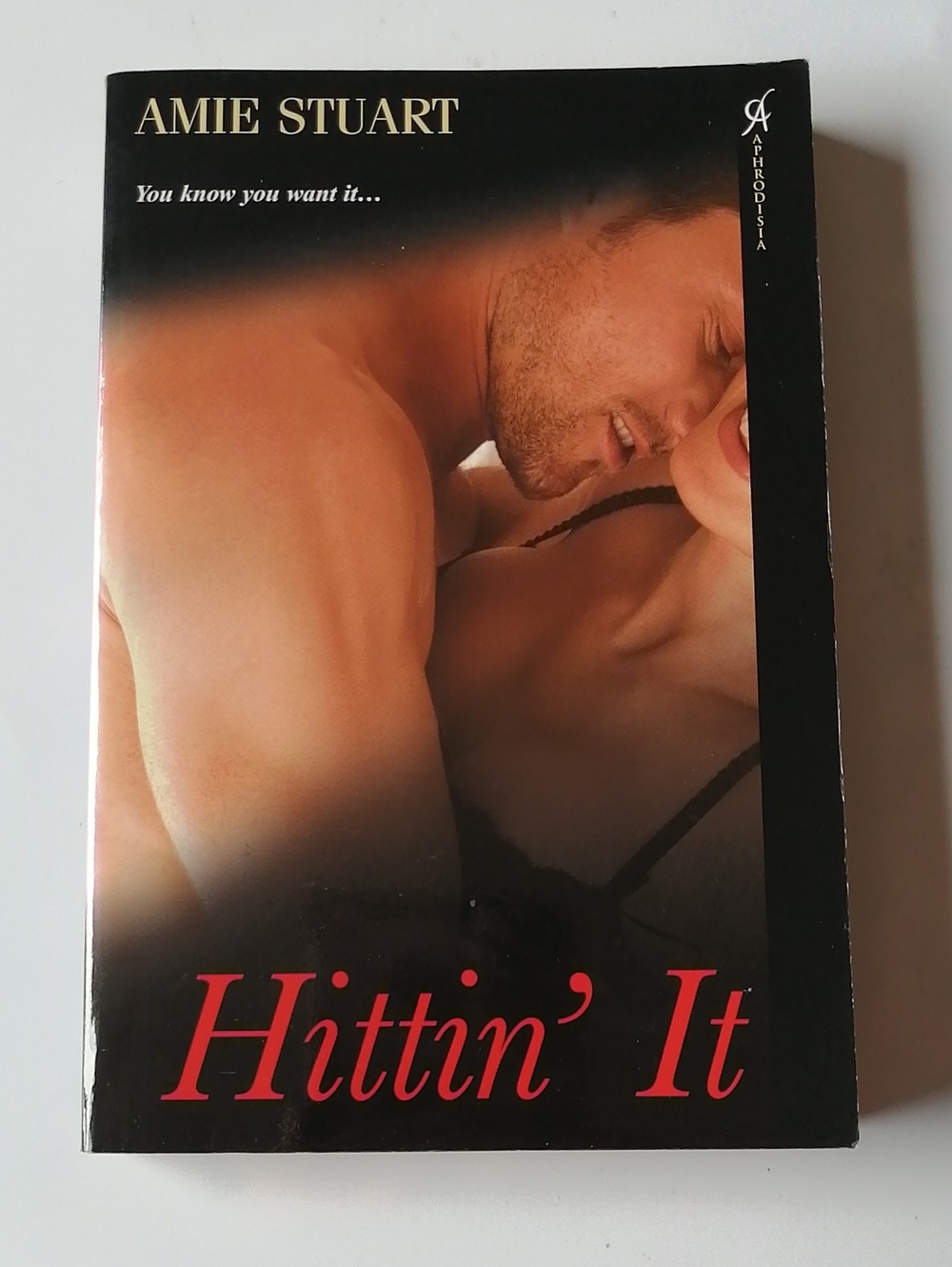 ✴️3/$25✴️Hittin' It by Amie Stuart - Steamy Romance Book